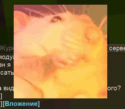 4-1787766960.png
